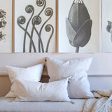 Sunshine Kuddfodral Fog 50x50 cm | HIMLA