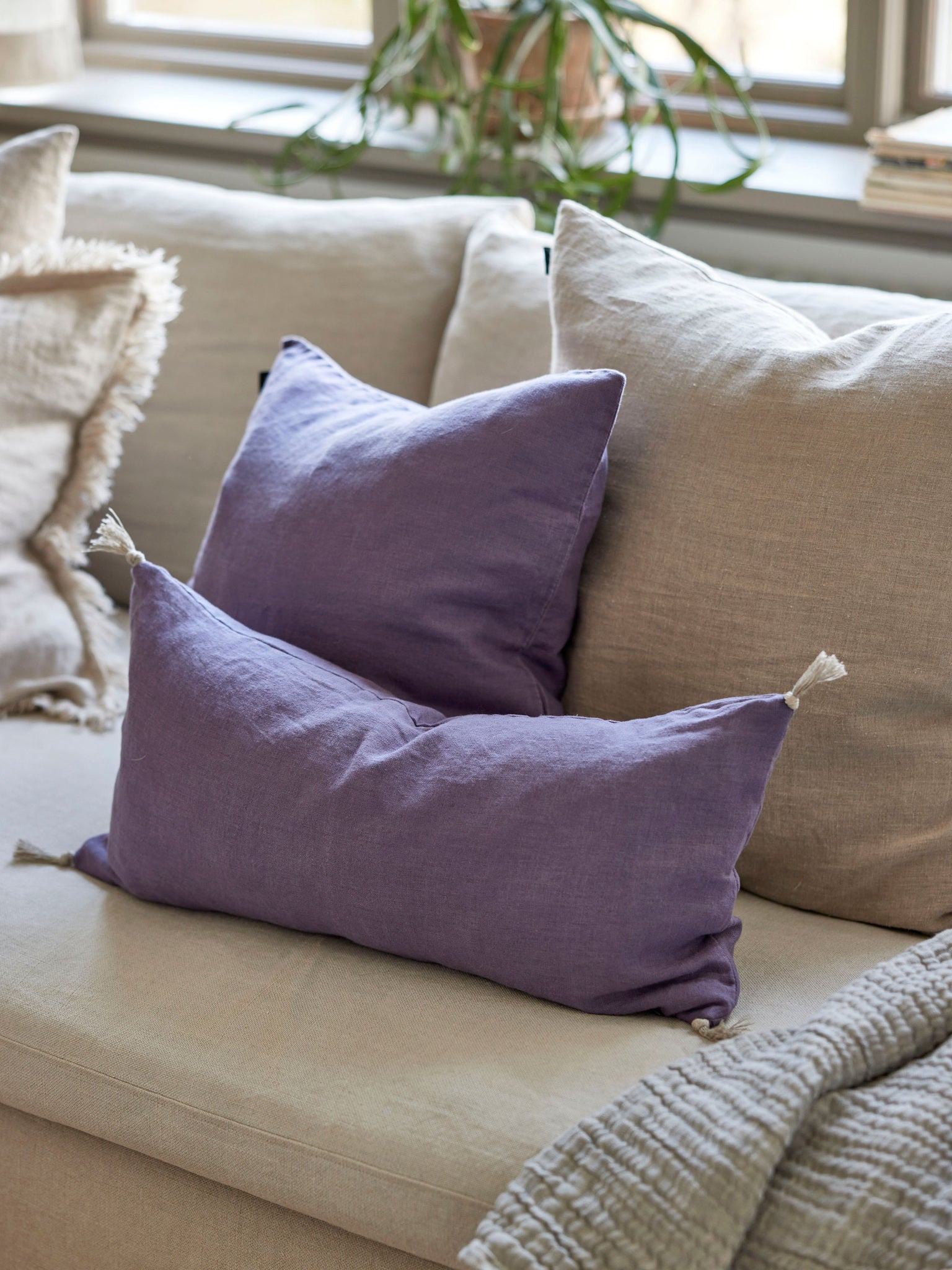 Sunshine Kuddfodral Lavender 30x60 cm | HIMLA