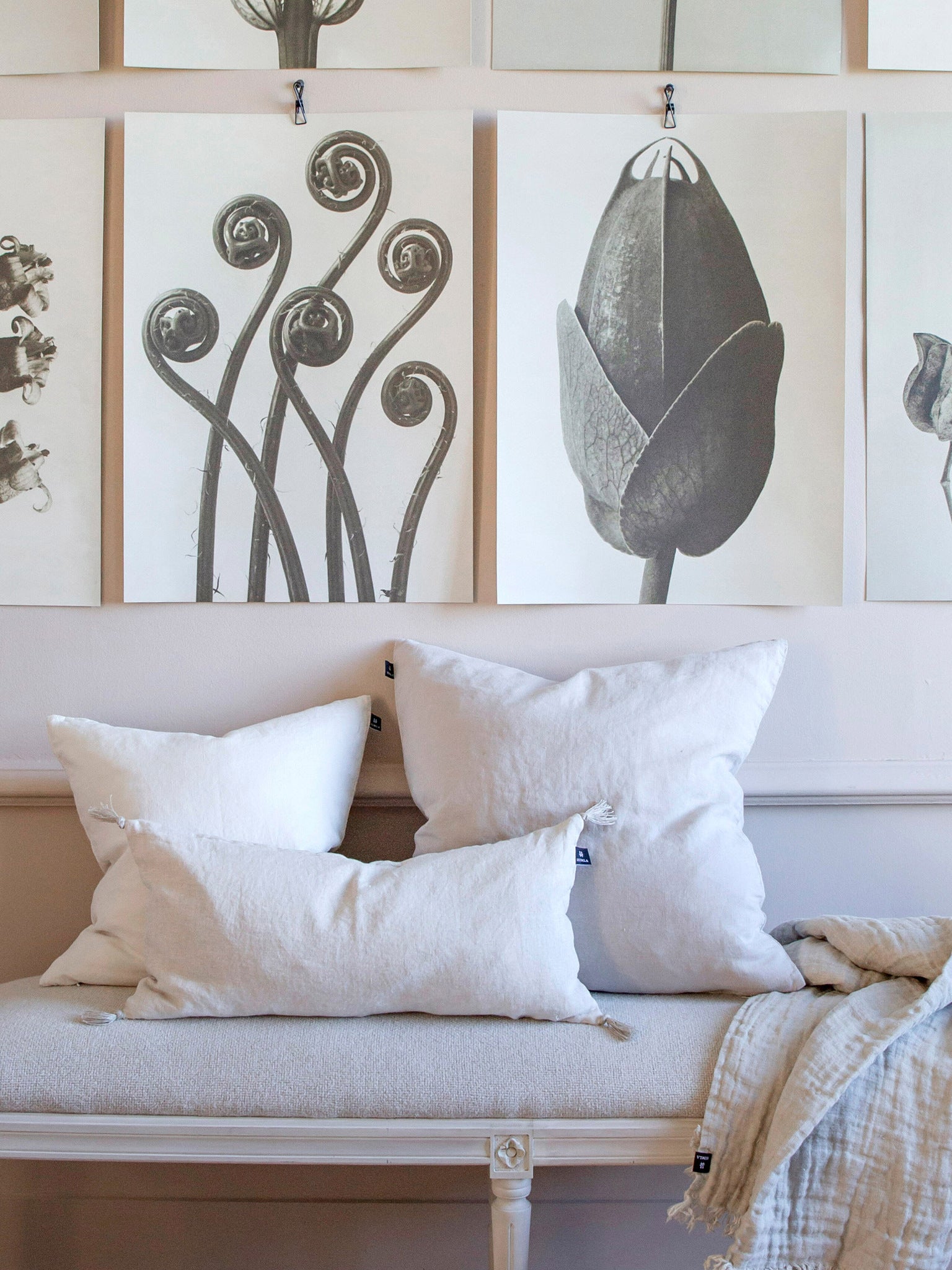 Sunshine Kuddfodral White 50x50 cm | HIMLA